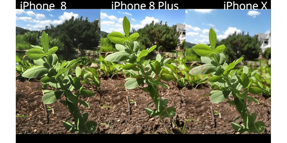 iPhone X vs iPhone 8 – Camera Comparison-Everything R